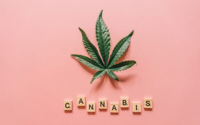 Cannabis Legalisierung in Deutschland: Was gilt wo und für wen?