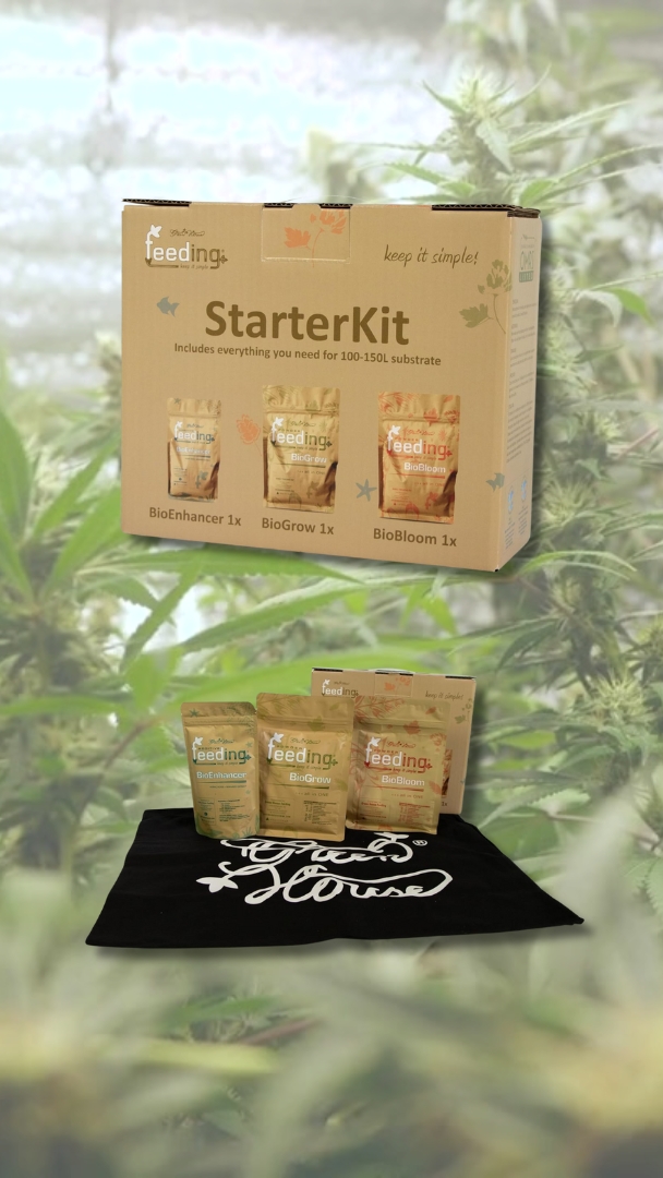 cannabisdünger starter set_growguidefüranfänger