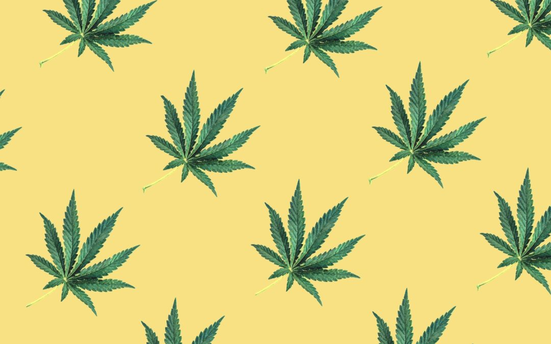 12 Cannabis Events 2025 die man nicht verpassen sollte