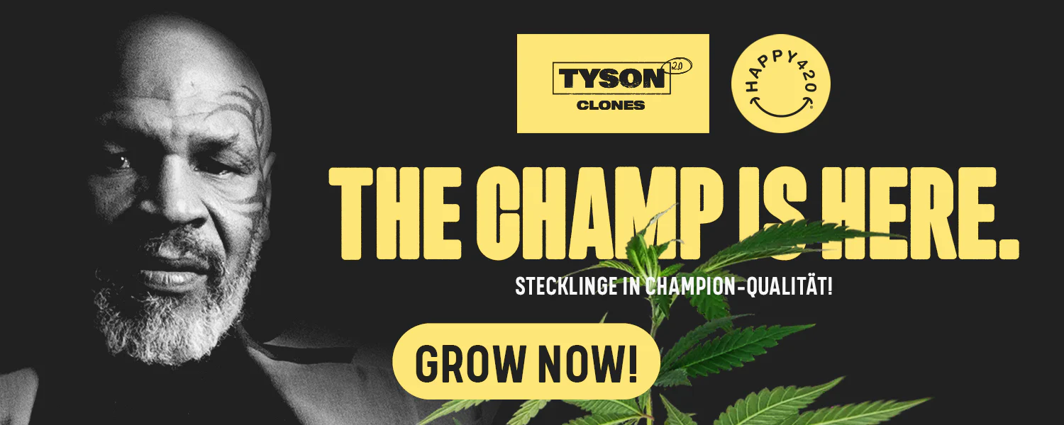 Tyson_02